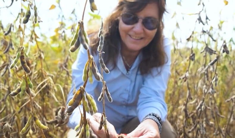 Fazenda em Araraquara transforma sustentabilidade em produtividade