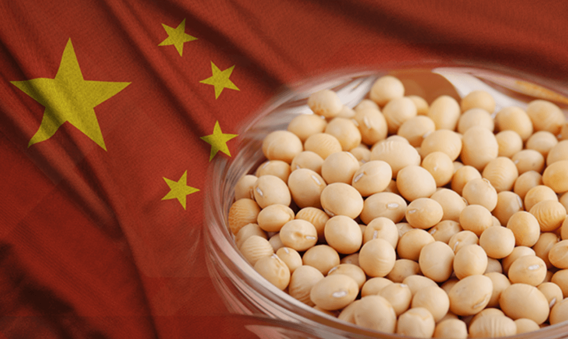 Brasil preparado para reduzir importações de soja pela China