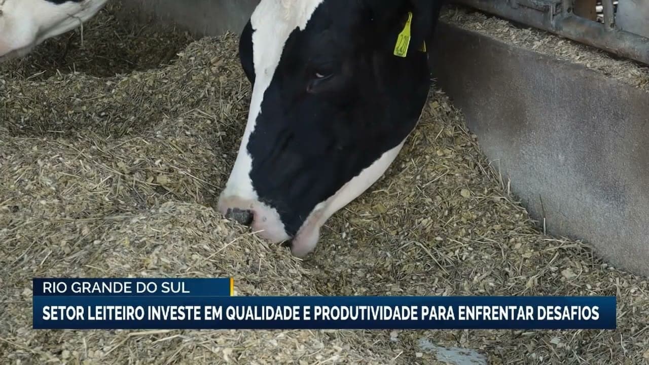 Setor leiteiro do RS brilha na Fenaçu Expoleite com inovação