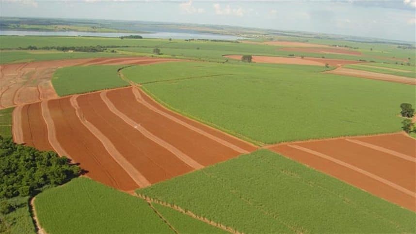 Tereza Cristina pressiona governo por liberação de recursos ao agro