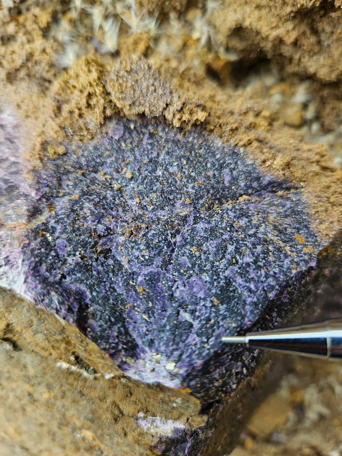 SGB descobre terras raras no Cinturão Ribeira com alto potencial