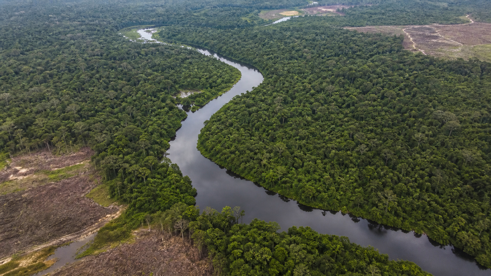 Reino Unido destina R$ 270 milhões ao Fundo Amazônia
