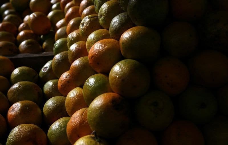 Suco de laranja brasileiro é excluído de tarifa adicional dos EUA