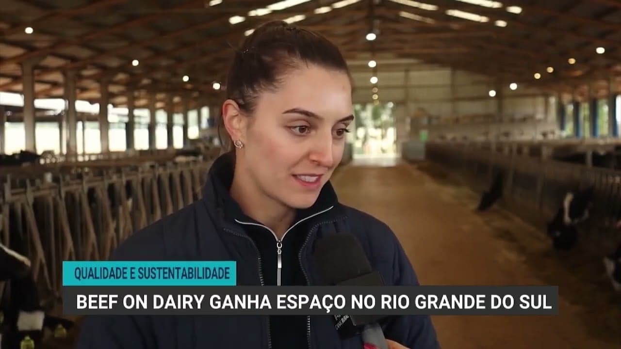 Beef on Dairy transforma vacas leiteiras no Rio Grande do Sul