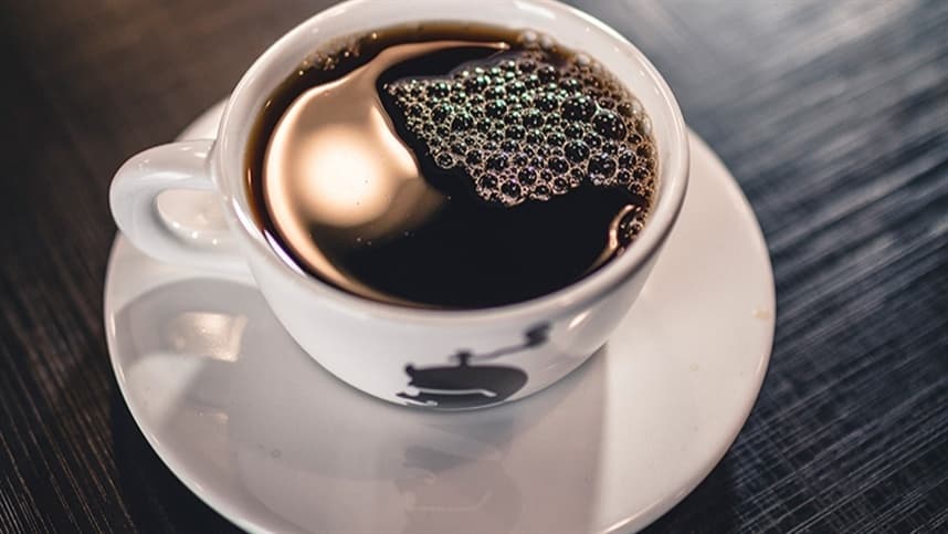 A importância da adubação nitrogenada no cafeeiro