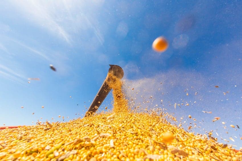 Mercado de soja tem liquidez alta impulsionada por exportações