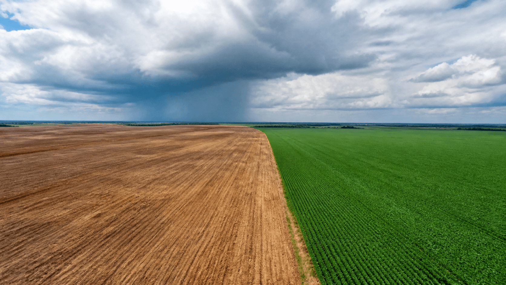 El Niño pode impactar lavouras entre Centro-Oeste e Matopiba