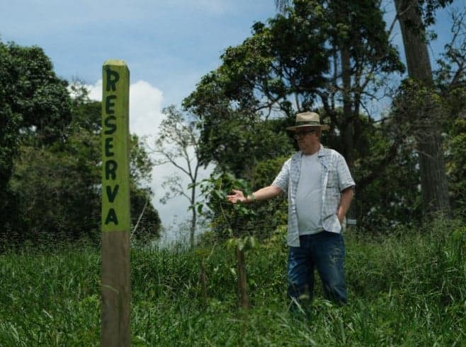 Fazenda em Minas Gerais Utiliza Tecnologia Avançada para Monitorar Plantio de Árvores