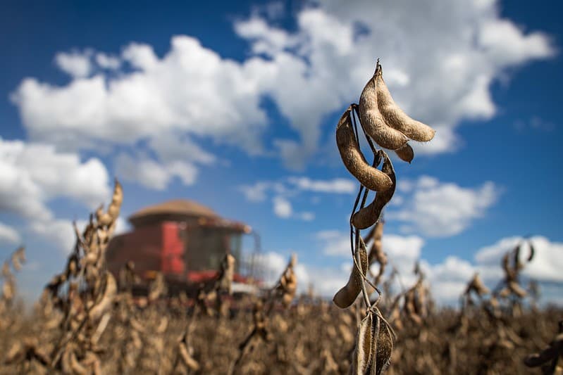 SLC Agrícola avalia compra de terras da Radar após venda de ativos