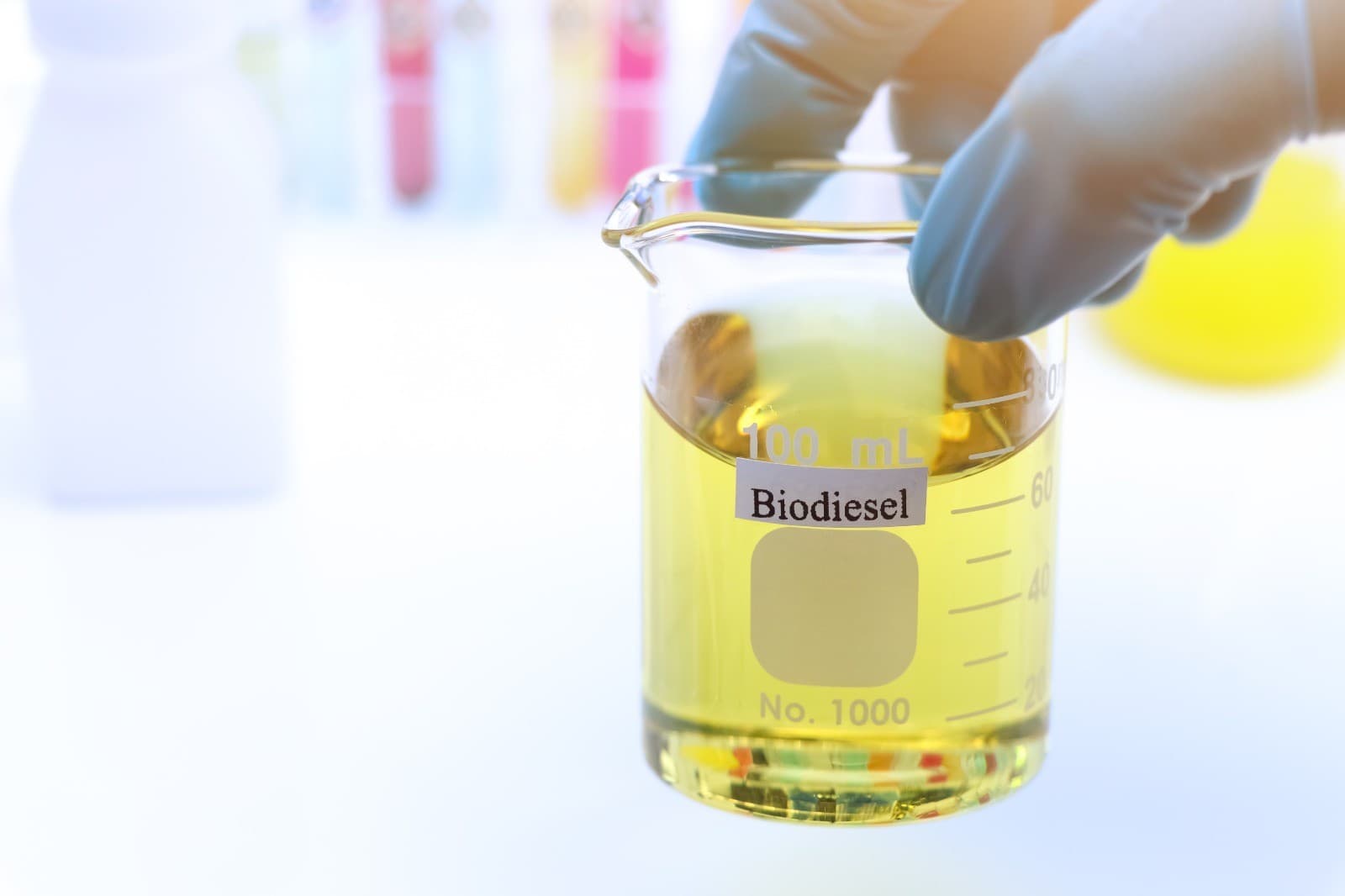 Demanda por farelo de soja e biodiesel eleva indústria de óleos vegetais no Brasil