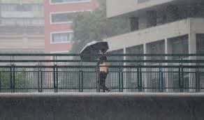 Meteorologia Indica Queda nas Temperaturas e Risco de Geadas no Sul