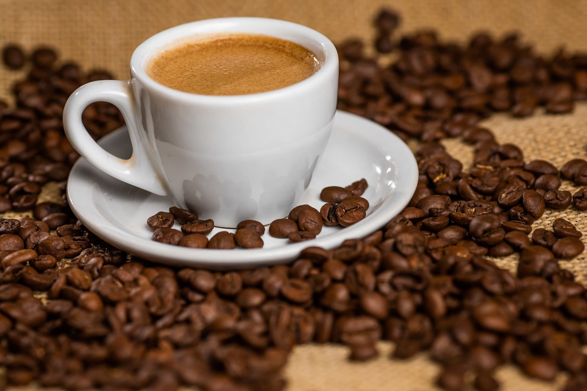 Café brasileiro: maior produtor mundial e curiosidades sobre a bebida