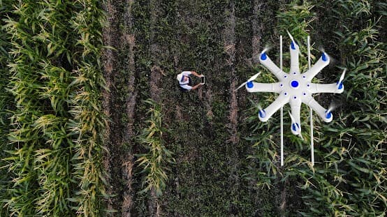 Tesouro Nacional lança leilão para inovação e tecnologia