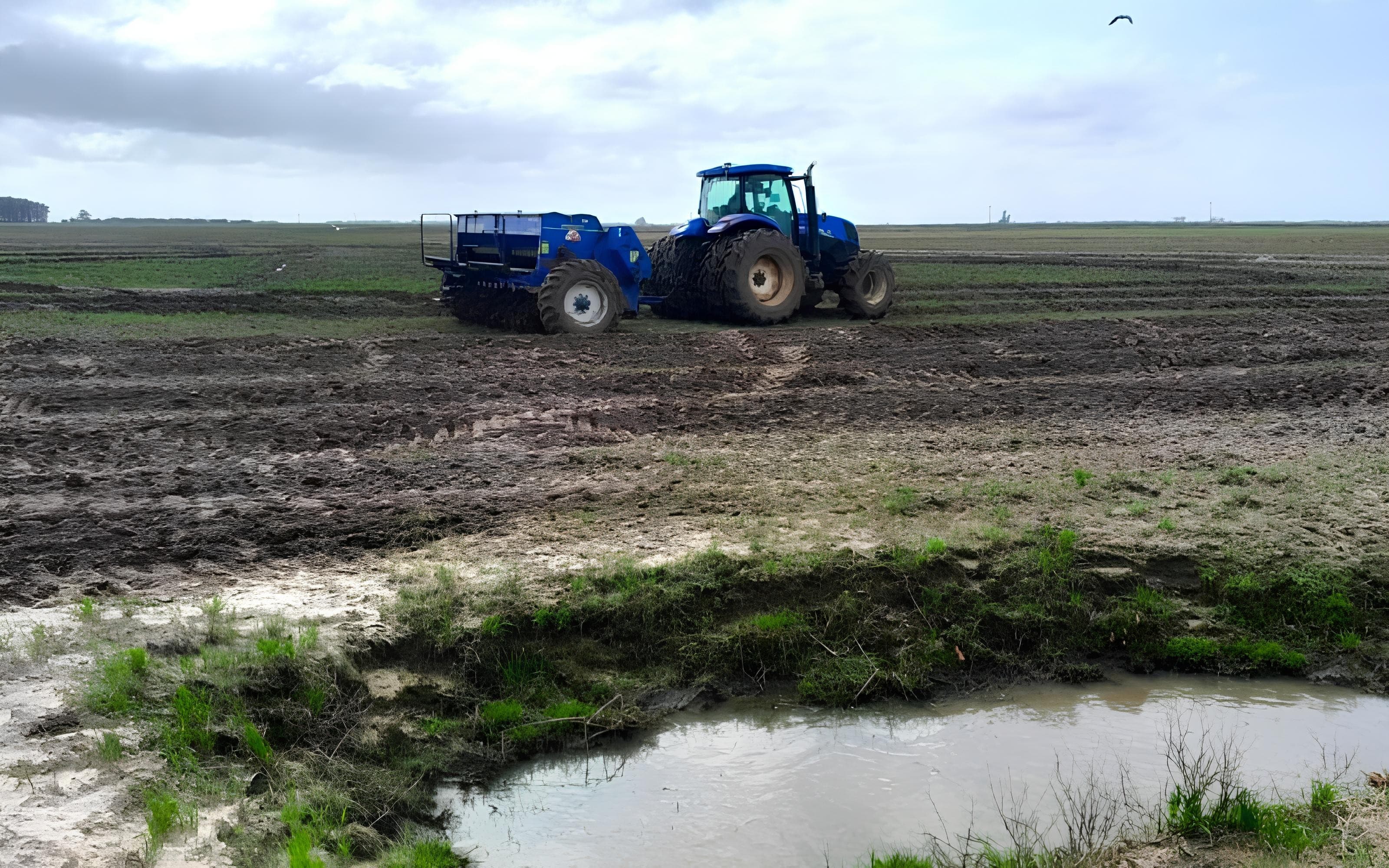 Produção de arroz no RS pode reduzir emissões de metano