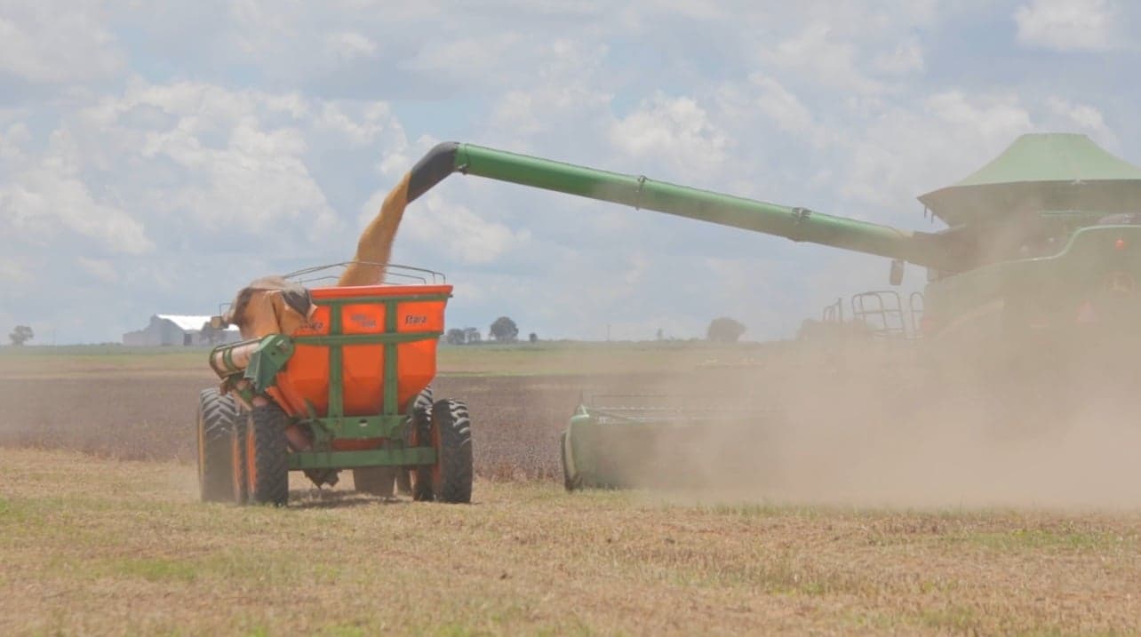 Colheita de soja no Brasil atinge 85,7% da área plantada