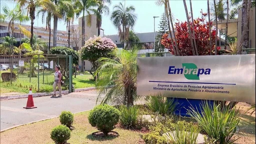 Embrapa aguarda nomeação de Alexandre Alonso na nova diretoria