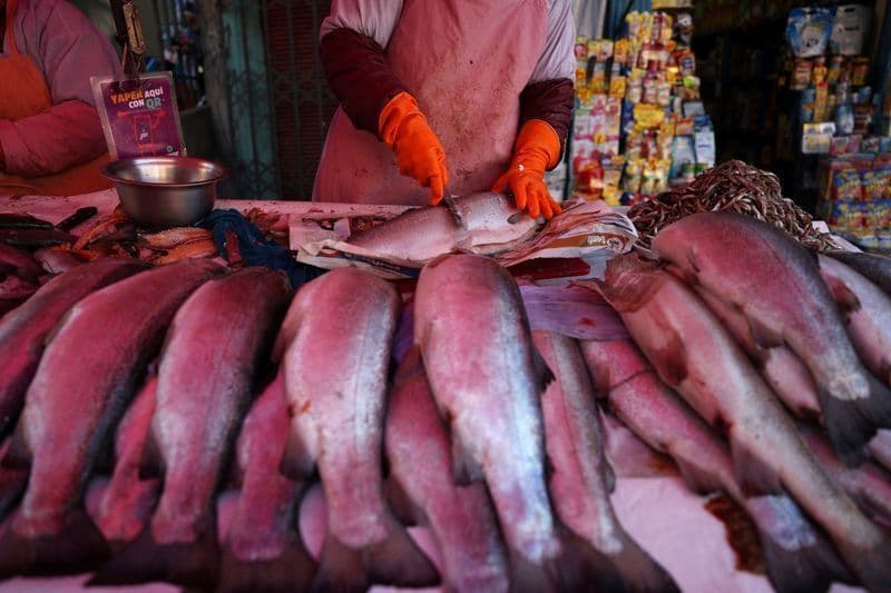 Exportadores brasileiros garantem isenção de tarifas nos EUA
