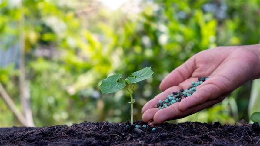Aumento nos preços de fertilizantes afeta agricultura no Brasil