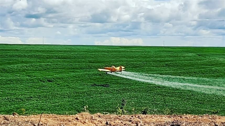 Justiça Federal impõe restrições a defensivos agrícolas e aprova reavaliações