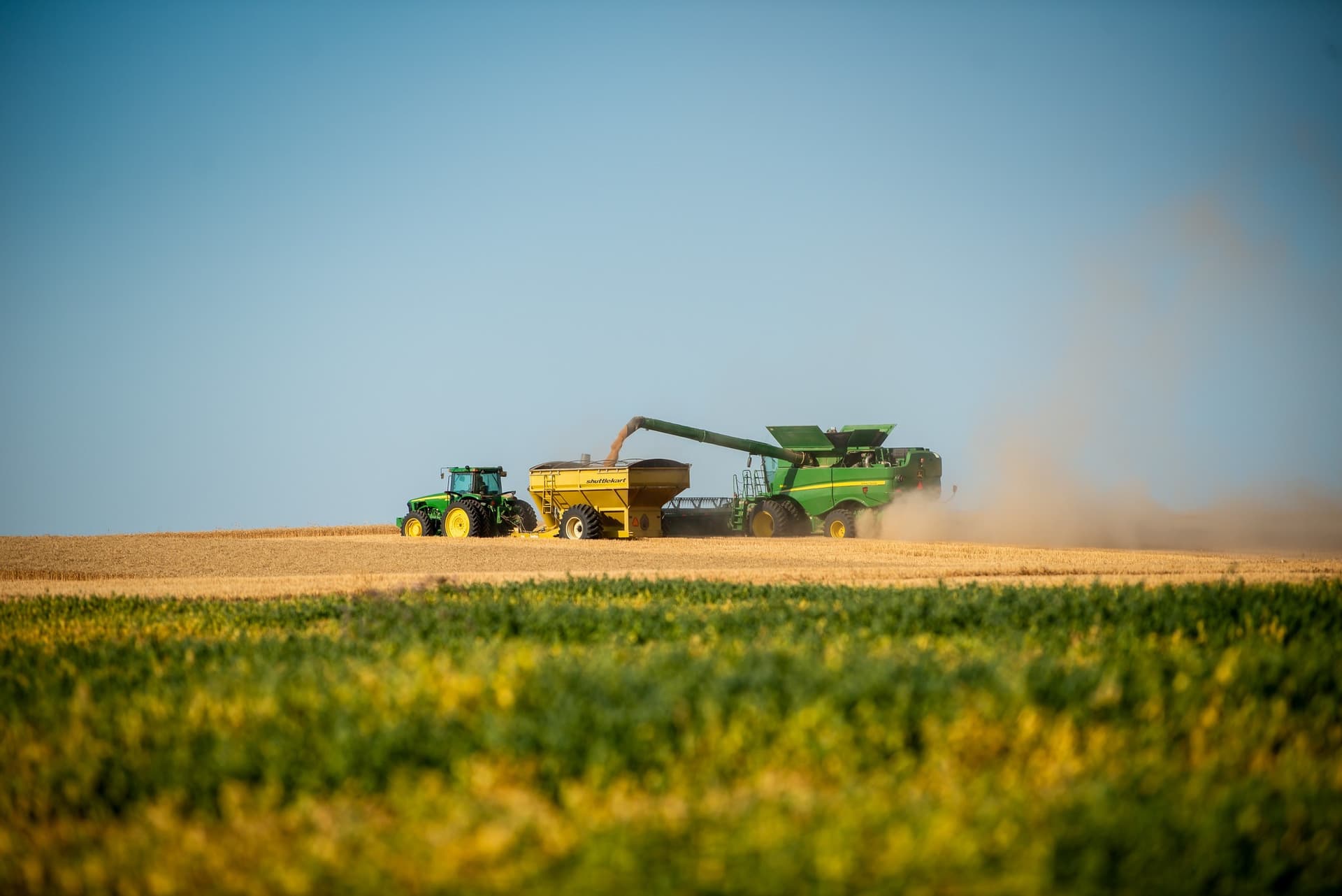 Trigo registra alta no mercado com previsão climática negativa nos EUA