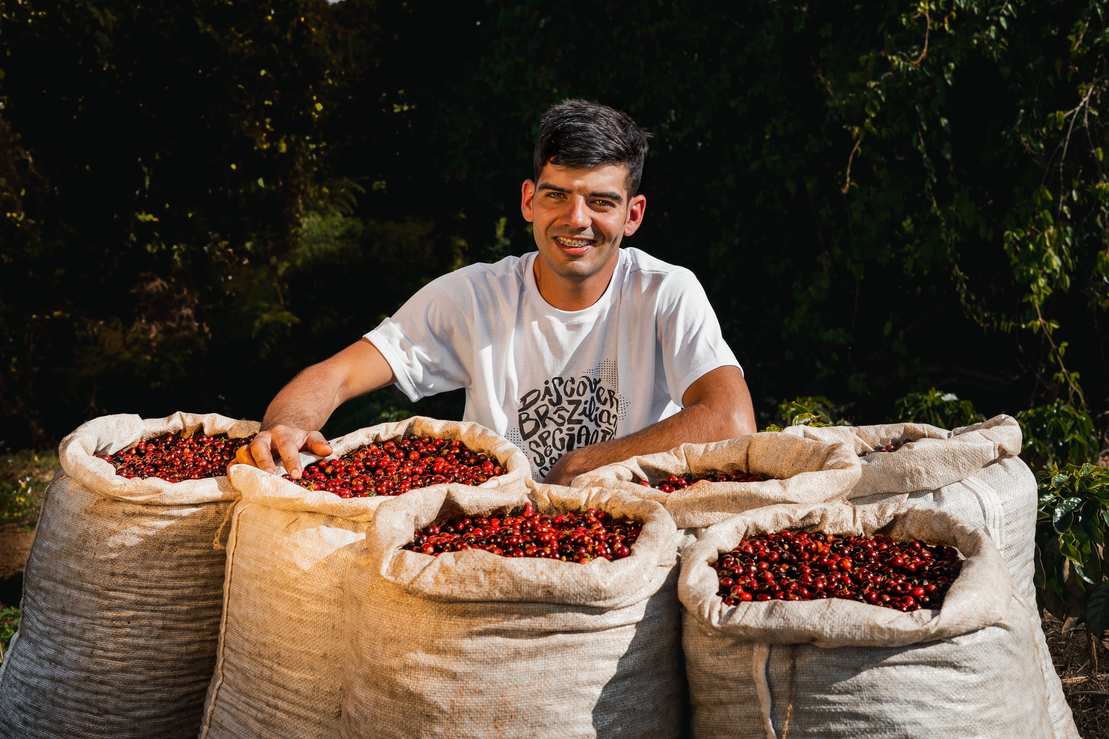 Cafés especiais brasileiros crescem 20% nas exportações em 2025