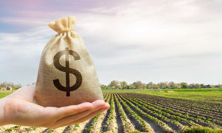 CNA apresenta propostas para fortalecer o Plano Agrícola 2026/27