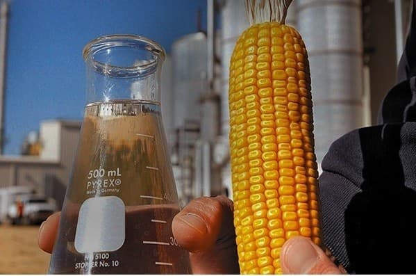 Mato Grosso se destaca no cenário nacional de biocombustíveis