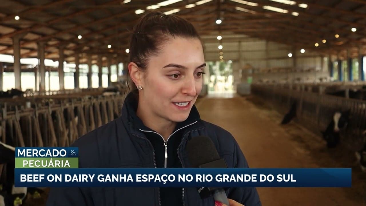Beffon revoluciona pecuária no Rio Grande do Sul com alta rentabilidade