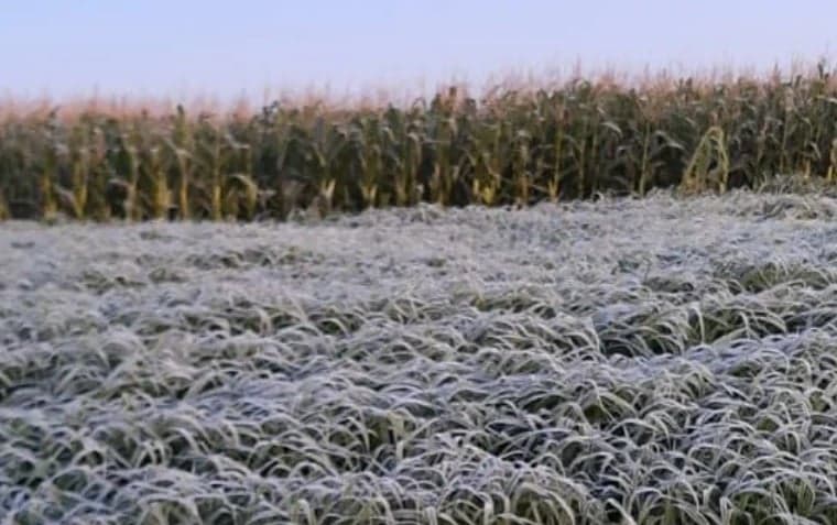 Previsão do Tempo: Frio no Sudeste e Chuvas no Nordeste