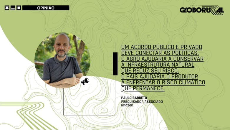 Conexão entre Políticas Agrícolas e Florestais é Essencial para a Produção