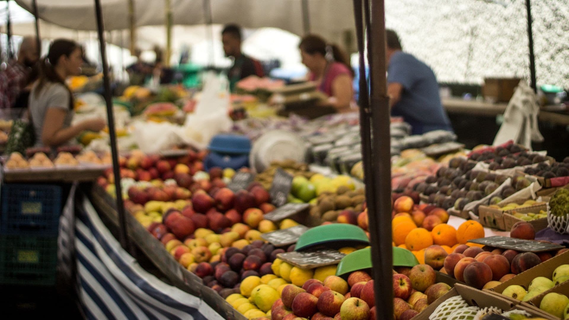 Governo cria Rede de Abastecimento Alimentar para famílias brasileiras