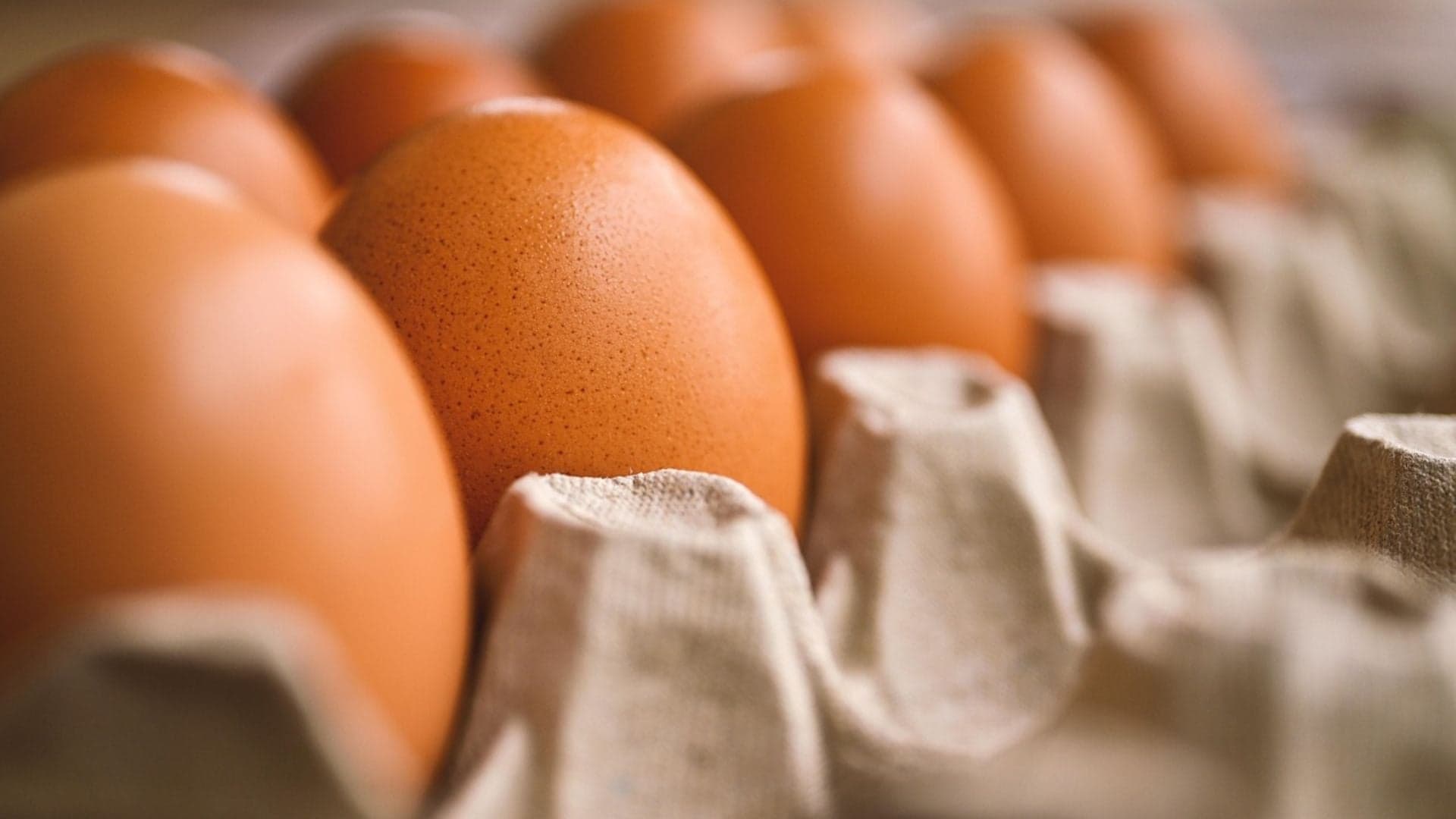 Demanda fraca reduz diferença de preços entre ovos brancos e vermelhos