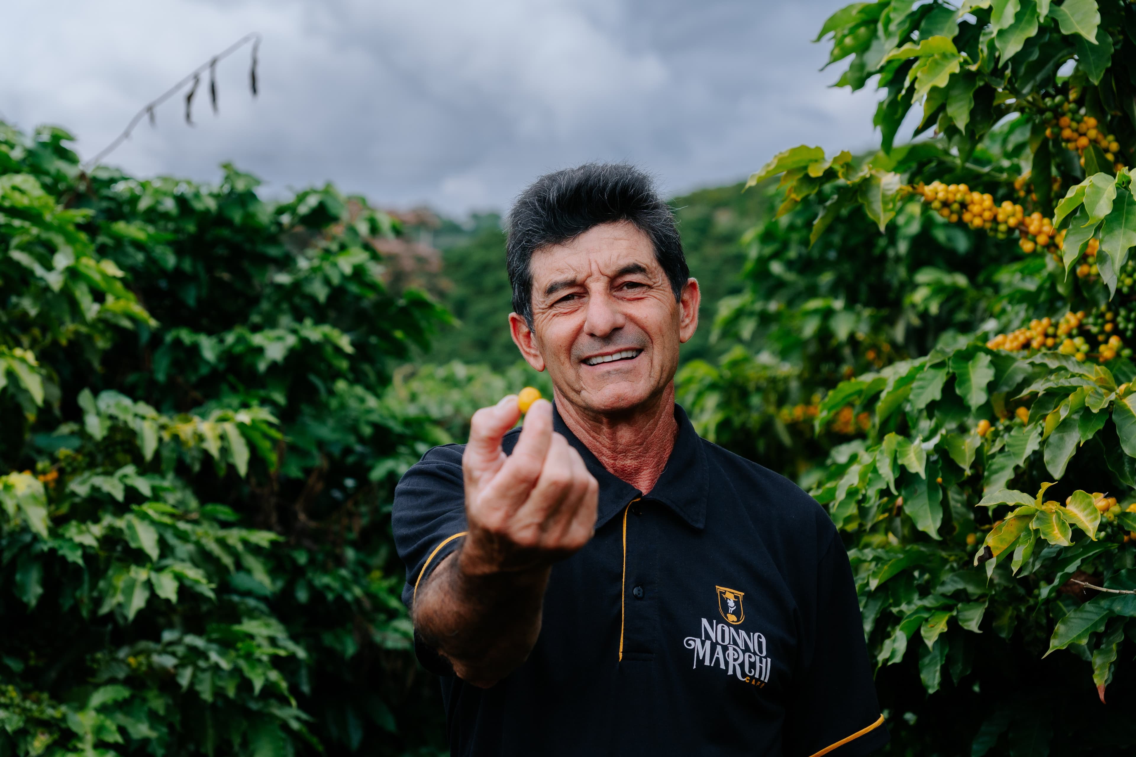 Roberto Marchi celebra avanços na produção de café sustentável