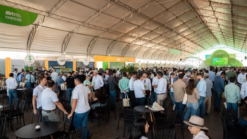 Dia do Algodão reunirá especialistas para planejamento na Bahia