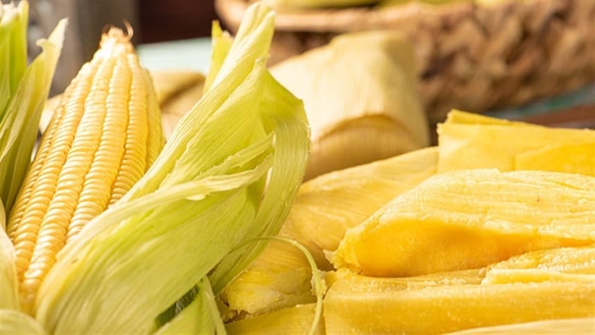 Recorde de inscritos no Programa de Milho e Sorgo do RS
