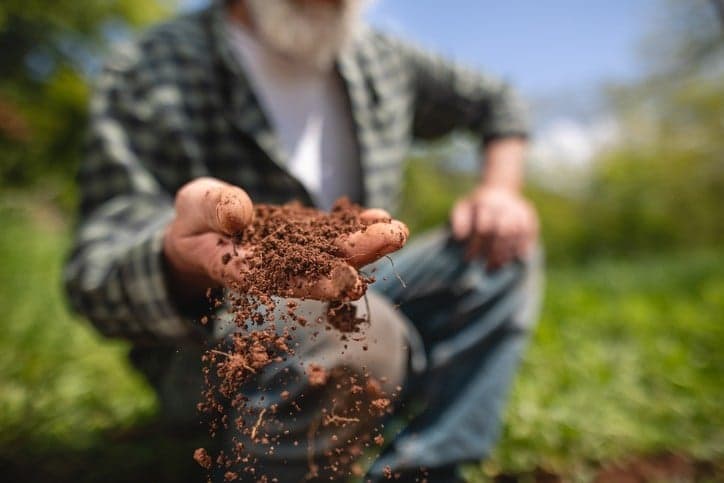 Bahia sediará IV Simpósio sobre Solos Arenosos para Inovações no Agro