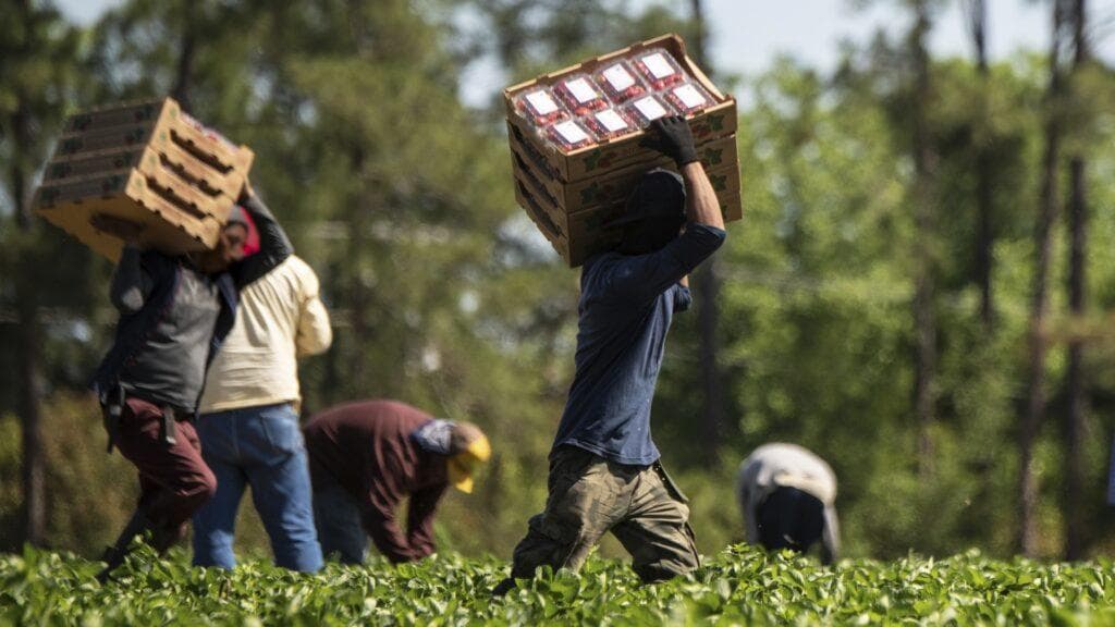 Aumento de salários no setor agropecuário