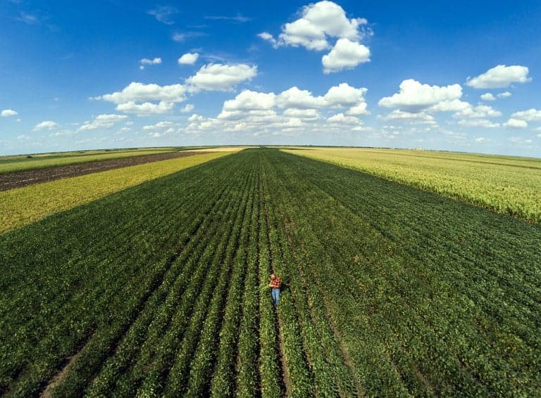 Inovação na Agrishow destaca desafios dos produtores em Ribeirão Preto