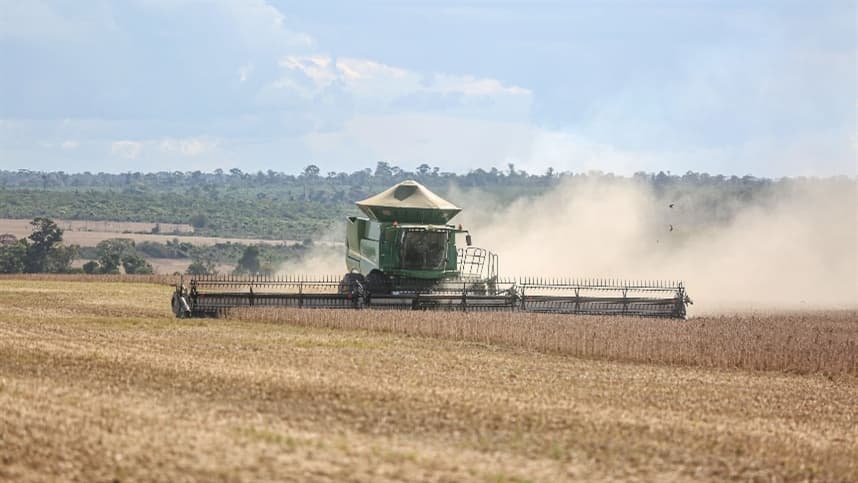 Super El Niño gera alerta para produtores agrícolas no Brasil