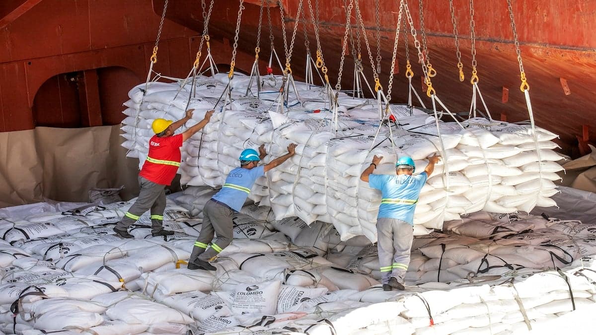 Sindestiva planeja greves no Porto de Santos por questões trabalhistas