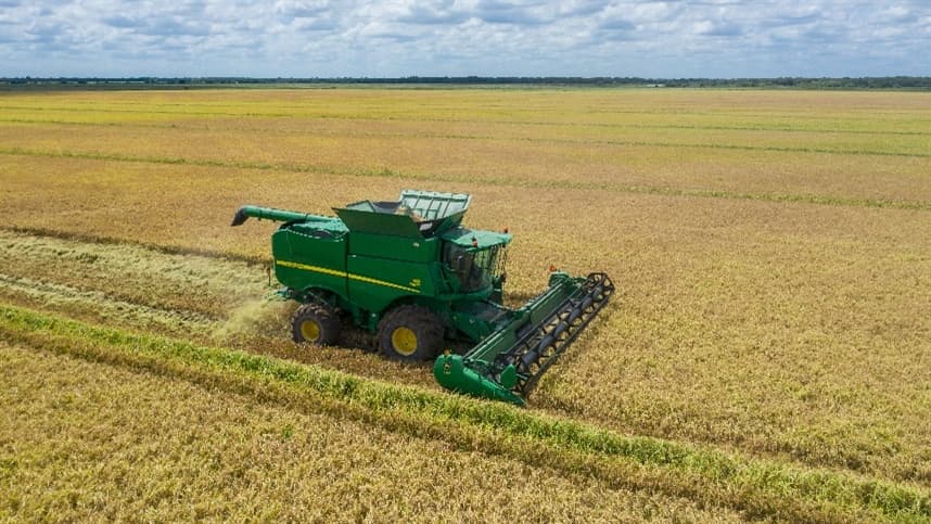 Impacto das chuvas na produção agrícola: prejuízos na colheita.