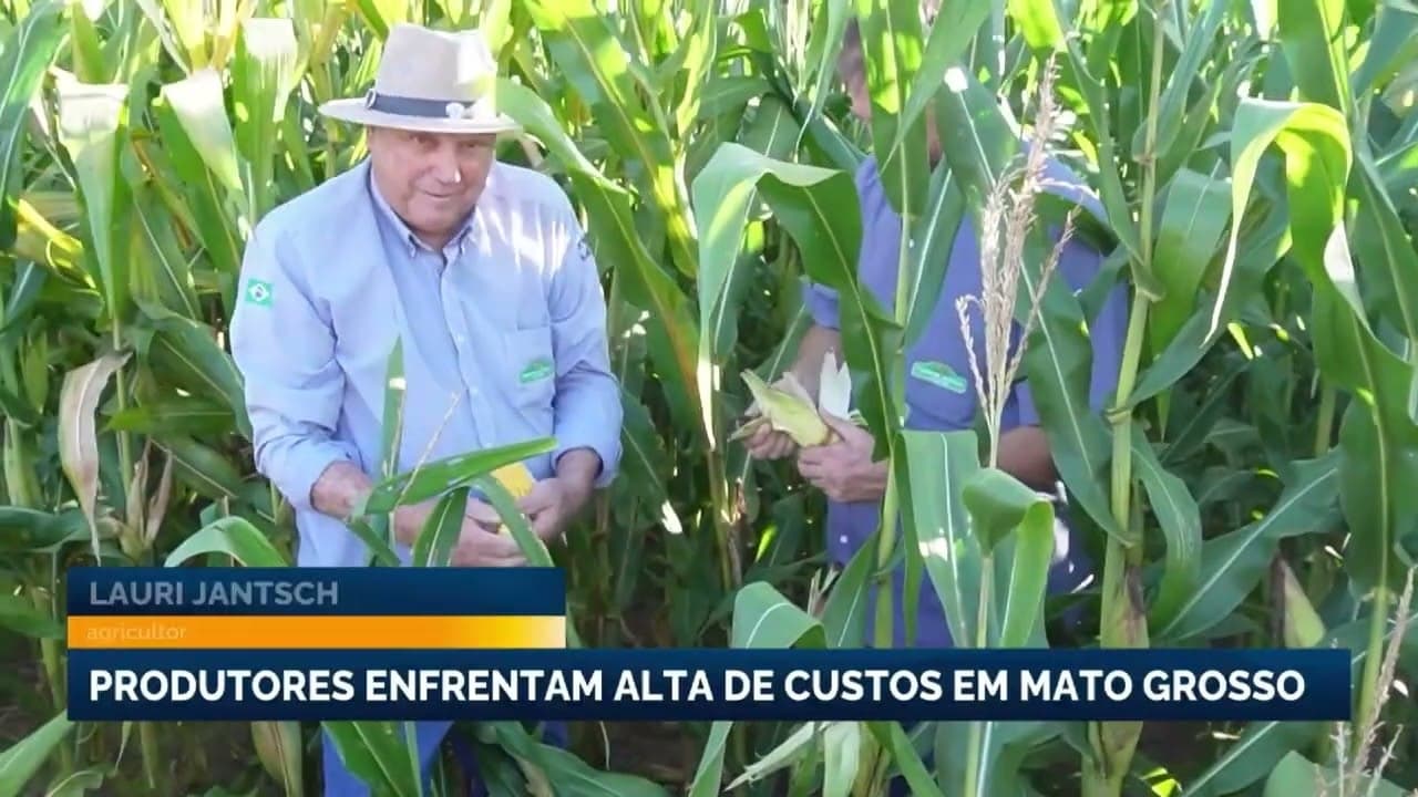 Sojicultores de Mato Grosso enfrentam desafios financeiros sérios
