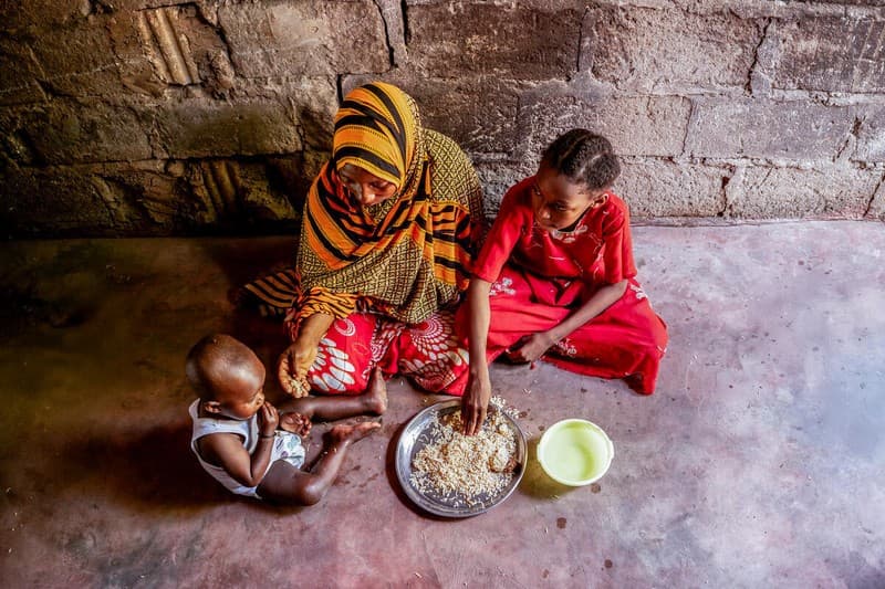 Queda da fome global é destaque em relatório da FAO de 2026