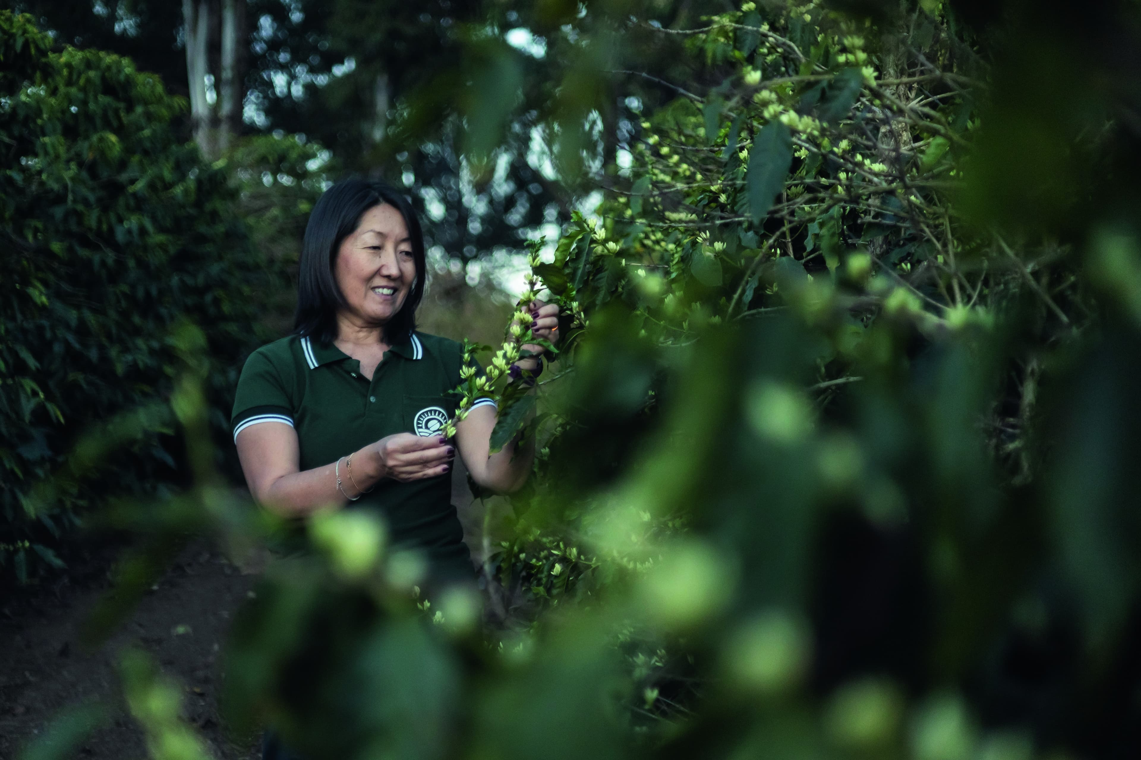Fazenda em São Thomé das Letras se destaca pela produção sustentável de café