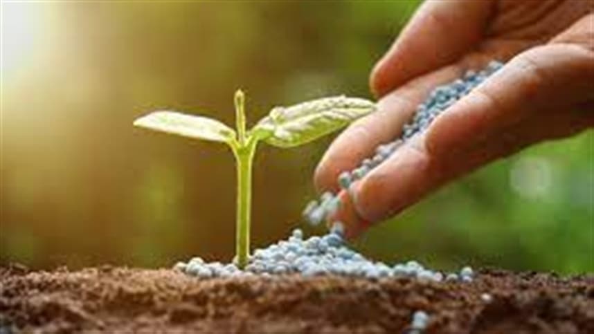 Agronegócio brasileiro luta contra desperdício de fertilizantes