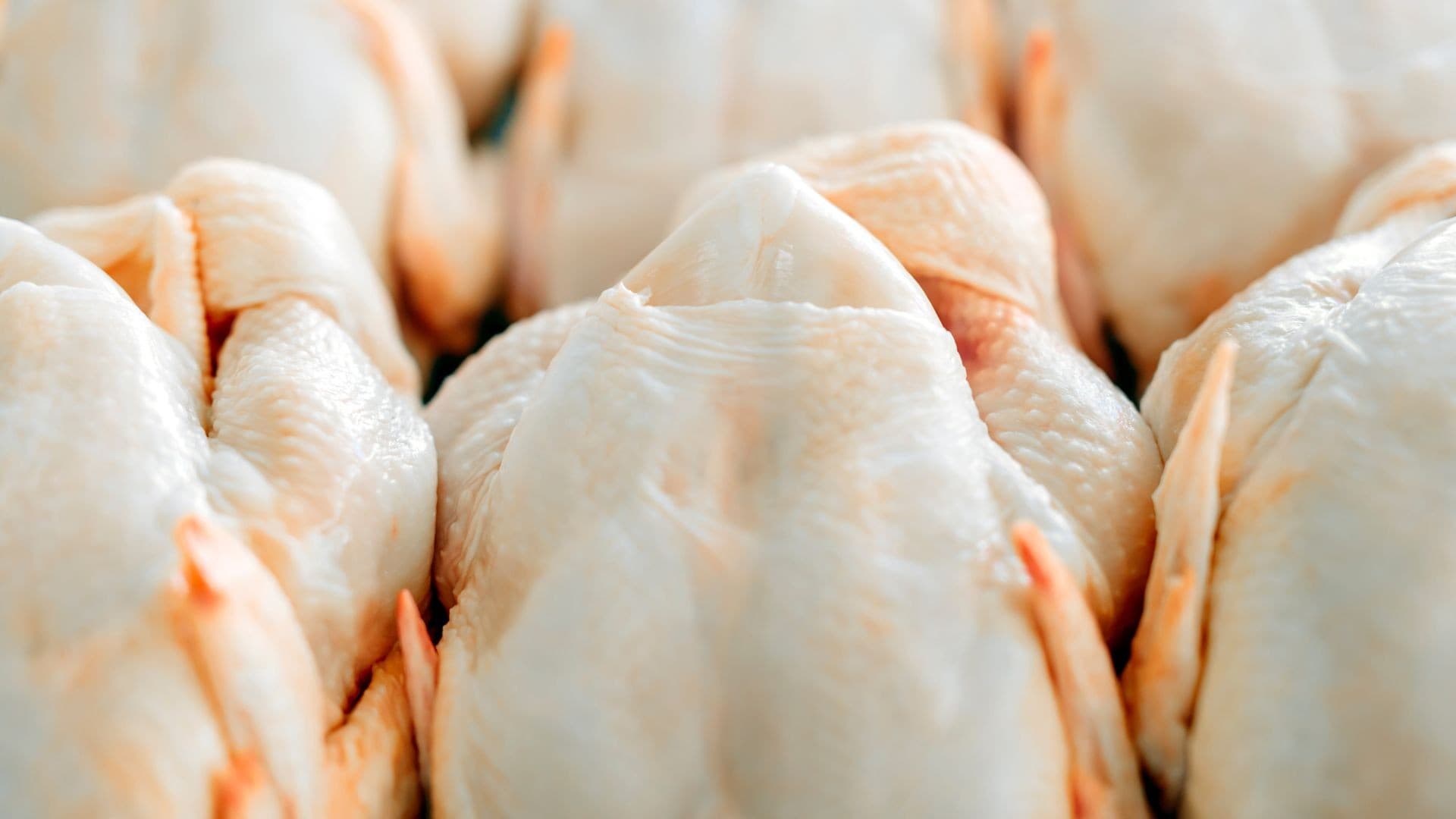 Brasil projeta aumento nas exportações de frango em 2026