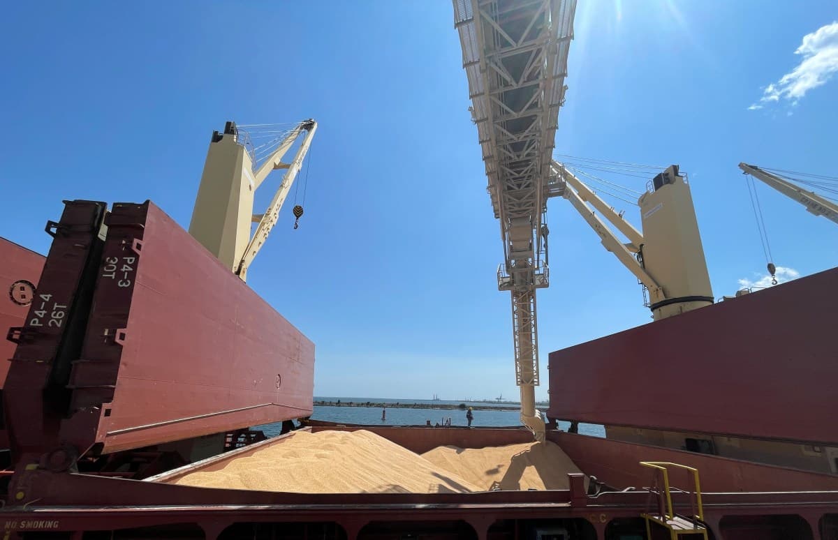 Déficit de trigo russo pode chegar a 35 milhões de toneladas