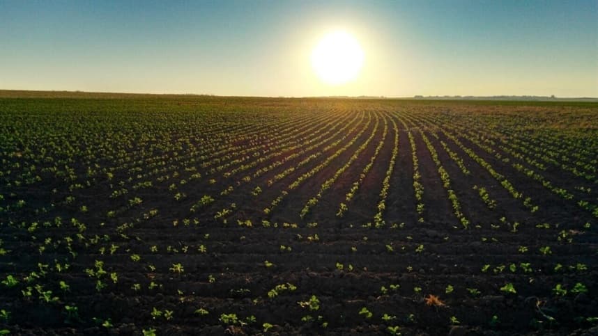 Agricultura brasileira: modelos sustentáveis como referência global.