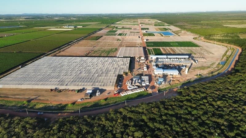 GDM amplia centro de pesquisa agrícola em Petrolina em 125%