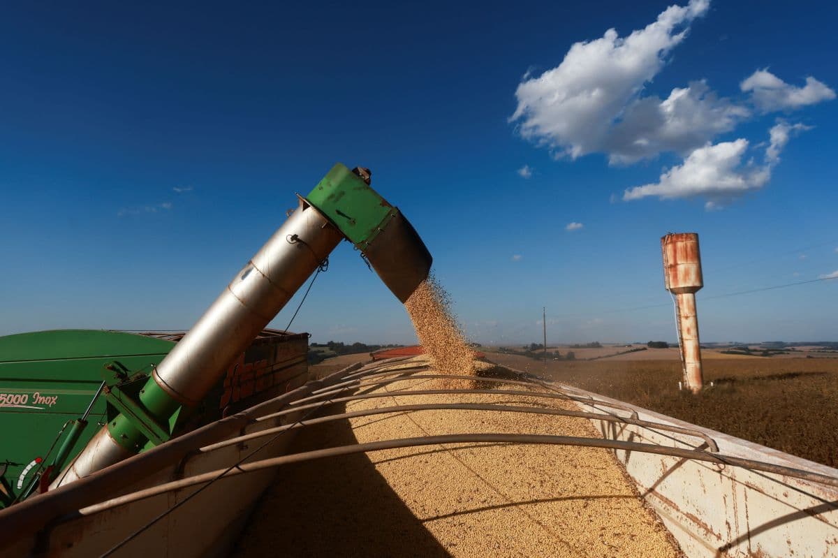 Biodiesel tem alta, mas ainda é mais barato que o diesel